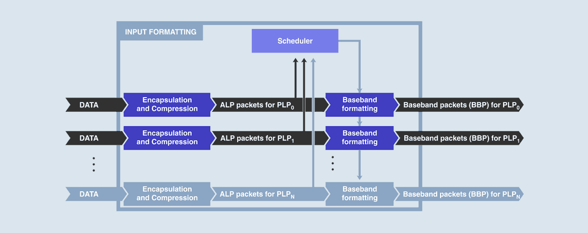 Data input formatting for PLP generation